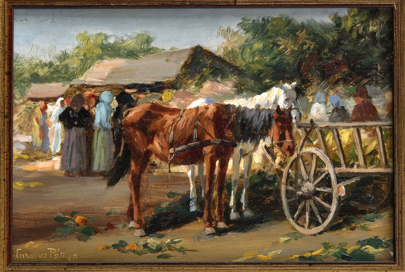 Kone (Na trhu)