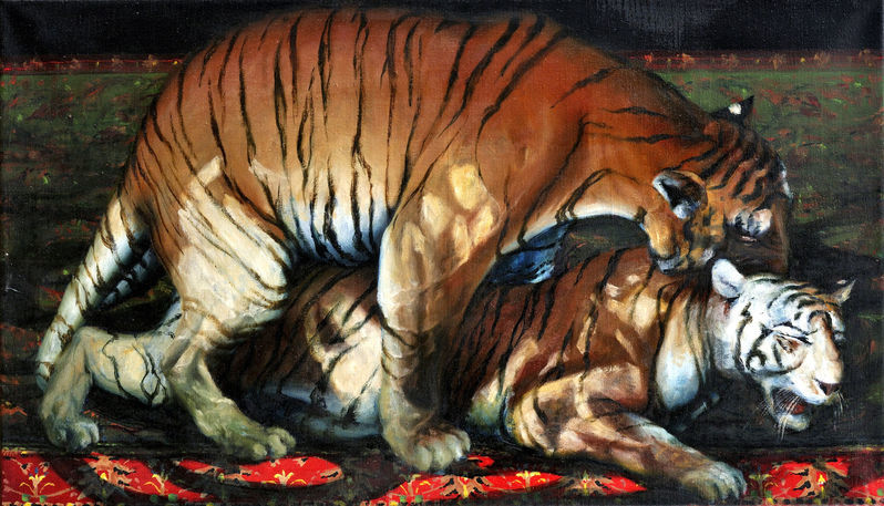 Páriace sa tigre