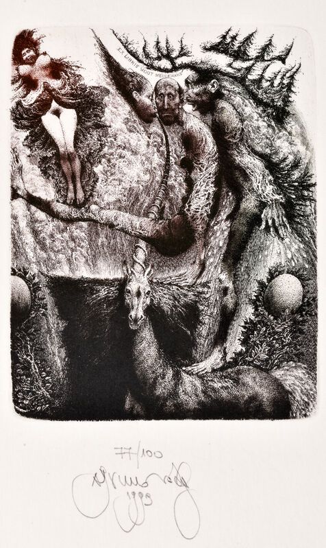 Lustrácia jednorožca (2)