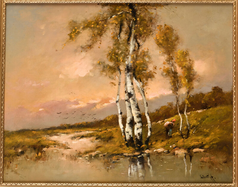 Močaristá krajina s brezami