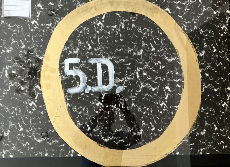 5D