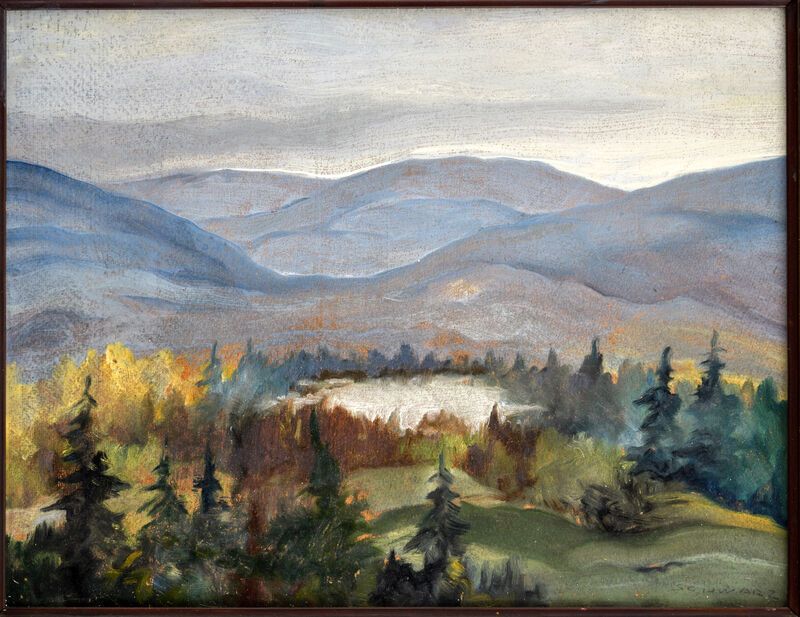 Horská krajina 