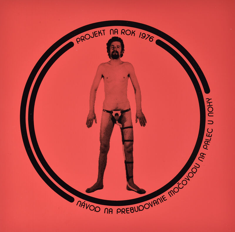 Z albumu Symposion III/76 (Návod na prebudovanie močovodu...)