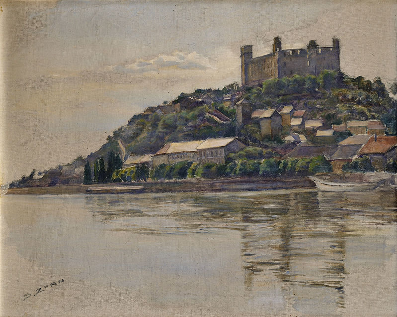 Pohľad na bratislavský hrad 