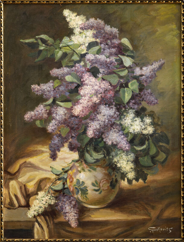 Kytica orgovánov