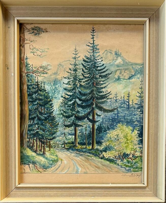 Lesná cesta