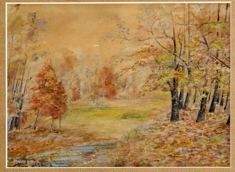 Park v Petržalke